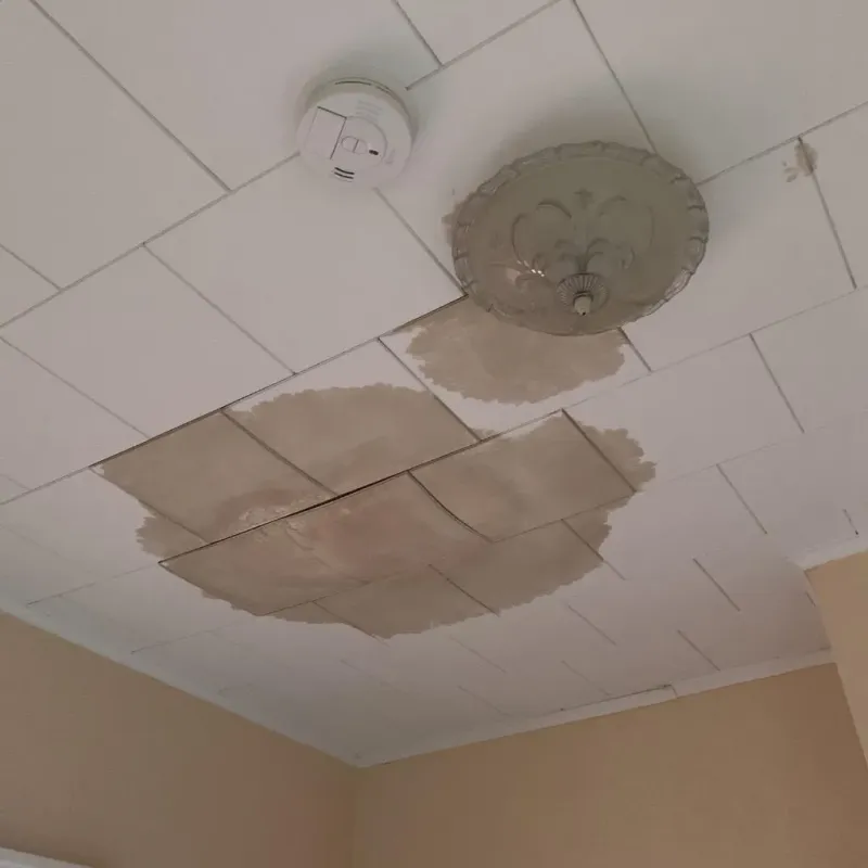 Ceiling Water Damage Repair in West Point, NE