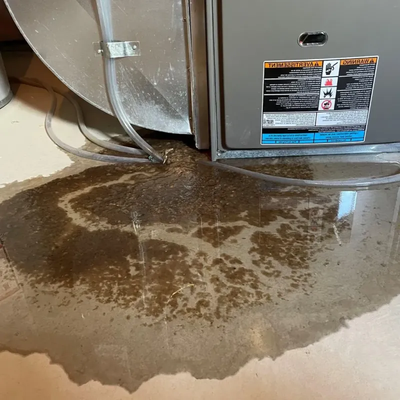 Pipe Burst and Leak Restoration in West Point, NE